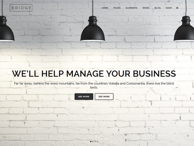 bridge wp template 1 768x576