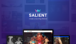 salient new hero 1 250x146