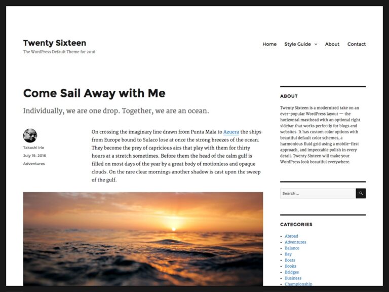 twenty sixteen free wordpress theme 1 768x576